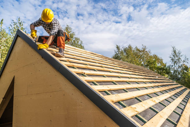 Best Roof Gutter Cleaning  in Norton, VA